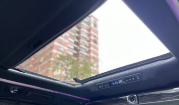 
2020-Lexus 凌志 LM 300H 四座 full									