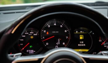 
2011 PORSCHE Panamera full									