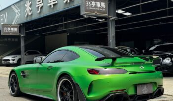 
2017 M-Benz AMG GT-R full									